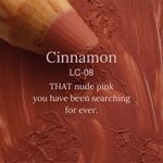 Buy Juicy Chemistry Lip & Cheek Crayon Cinnamon LC08 (2.49 gm) - Purplle