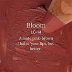 Buy Juicy Chemistry Lip & Cheek Crayon Bloom LC14 (2.49 gm) - Purplle