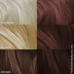 Buy Paradyes Ammonia Free Coffee Brown Semi-Permanent Hair Color Jar 120 gm, Coffee Brown - Purplle