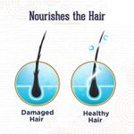 Buy Online Quality Store Red Onion Shampoo 300 ml for Hair Growth and Hair Fall Control |Hair Growth Oil| Reduces hairfall | With Natural Ingredients |Natural shampoo{RedOnion_shampoo_1} - Purplle