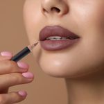 Buy Lamel Lip pencil 401-Nude 1.7gm - Purplle