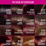 Buy L'Oreal Paris Casting Creme Gloss Hair Color With Glycolic Gloss Complex | Shade 550 - Mahogany | 60ml + 40ml + 60g - Purplle