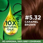 Buy Garnier Color Naturals Creme hair color, Shade 5.32 Caramel Brown (70 ml + 60 g) - Purplle