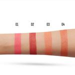 Buy Charmacy Milano Cheek Enhancer (Brown 04) - 4 g, Light Weight, Blendable, Natural Look, Sunkissed Effect, Velvet Soft Pressed Powder, Smooth Application, Vegan, Cruelty -Free, Toxin-Free - Purplle