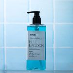 Buy ZEOVEDA Blue Lagoon Perfumed Body Wash | With Mint Extract | Energizing & Revitalising Shower Gel | Paraben Free - 250 ML - Purplle