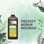 Buy Axiom Mukti Gold Herbal Hairwash with conditioner 500ml 500 g - Purplle