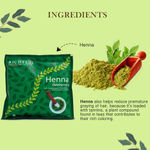 Buy Richfeel Henna Powder (100 g) Pack of 2 - Purplle