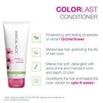 Buy Biolage Colorlast Color Protecting Shampoo + Combo of Colorlast Conditioner | For Colored Hair (400 ml + 196 gm) - Purplle