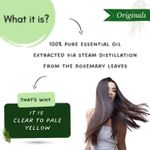 Buy Mystiq Living Rosemary Essential Oil for Hair Growth & Hair Fall Control Oil, Rosemary Oil for Hair, Face, Acne & pimples, 100% Pure, Natural Undiluted & Therapeutic Grade for Hair massage, rosemary hair oil for women & Men - 15 ml - Purplle