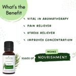 Buy Mystiq Living Rosemary Essential Oil for Hair Growth & Hair Fall Control Oil, Rosemary Oil for Hair, Face, Acne & pimples, 100% Pure, Natural Undiluted & Therapeutic Grade for Hair massage, rosemary hair oil for women & Men - 15 ml - Purplle