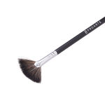 Buy Proarte PF-09 Fan Brush Black - Purplle