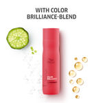Buy Wella Professionals INVIGO COLOR BRILLIANCE SHAMPOO (250 ml) - Purplle