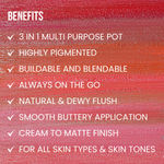 Buy Tint Cosmetics Bliss Blusher, Mauve Pink, 4.5g - Purplle