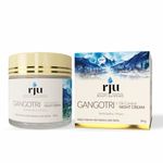 Buy Rju Gangotri Oil Control Night Cream (50 gm) - Purplle