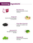 Buy TAC - The Ayurveda Co - Onion Hair Oil With Ginger 10 ml - Purplle