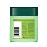 Buy Biotique Bio Fresh Neem Anti-Dandruff Shampoo & Conditioner (75 ml) - Purplle