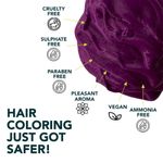 Buy Paradyes Ammonia Free Semi-permanent Hair Color Highlighting Kit (Amethyst Plum) - Purplle