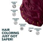 Buy Paradyes Ammonia Free Semi-permanent Hair Color Highlighting Kit (Ruby Wine) - Purplle
