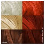 Buy Paradyes Ammonia Free Semi-permanent Hair Color Highlighting Kit (Raggiana Orange) - Purplle