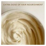 Buy Paradyes Color Care Hair Butter enriched with Quinoa and Flax protein, Aloe Vera, Kokum & Macadamia Oil to tame Frizzy and Damaged Hair, 200 gm - Purplle