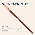 Buy GUBB Lip Brush for Lipstick Application - Purplle
