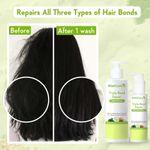Buy WishCare Triple Bond Repair Shampoo - 5% AminoPeptide Complex & PCA - Repairs Damaged Dry & Frizzy Hair 250 ml - Purplle