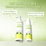 Buy WishCare Triple Bond Repair Shampoo - 5% AminoPeptide Complex & PCA - Repairs Damaged Dry & Frizzy Hair 250 ml - Purplle