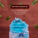 Buy Healthy Forever Homemade Aqua Fresh Gel with Pure Aloe Vera for All Skin Types Pack of 1 120 g - Purplle