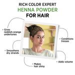 Buy Alps Goodness Natural Hair Color Combo | With Henna and Indigo Pack of 2 - Purplle