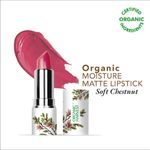 Buy Organic Harvest Moisture Matte Lipstick - Soft Chestnut, 4 gm - Purplle