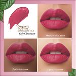 Buy Organic Harvest Moisture Matte Lipstick - Soft Chestnut, 4 gm - Purplle