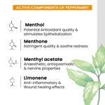 Buy Keya Seth Aromatherapy Energizing Body Massage Oil for Men, Reduce Stress, Relieves Muscle Pain, Calms Headaches & Removes Body Toxins 200ml - Purplle