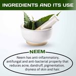 Buy Indus Valley Bio Organic Natural Neem Powder, Chemical Free Hair Cleanser For Healthy Hair (100 g) - Purplle