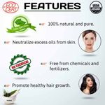 Buy Indus Valley Bio Organic Natural Neem Powder, Chemical Free Hair Cleanser For Healthy Hair (100 g) - Purplle