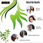 Buy Indus Valley Bio Organic Natural Neem Powder, Chemical Free Hair Cleanser For Healthy Hair (100 g) - Purplle