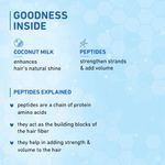 Buy Plum Coconut Milk & Peptides Strength & Shine shampoo | Enhances Hair's Shine and Strengthens Hair 75 ml - Purplle