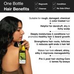Buy Soulflower Cold Pressed Olive Oil 120 ml - Purplle