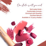 Buy Juicy Chemistry Lipstick, Soft Matte Finish, Intensely pigmented & long-lasting, Enriched with Rosehip & Green Tea - Certified Organic (3.5 gm) Rosa LS16 - Purplle