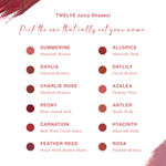 Buy Juicy Chemistry Lipstick, Soft Matte Finish, Intensely pigmented & long-lasting, Enriched with Rosehip & Green Tea - (3.5 gm) Azalea LS12 - Purplle