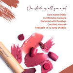 Buy Juicy Chemistry Lipstick, Soft Matte Finish, Intensely pigmented & long-lasting, Enriched with Rosehip & Green Tea - Certified Organic (3.5 gm) Antler LS14 - Purplle