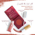 Buy Juicy Chemistry Lipstick, Soft Matte Finish, Intensely pigmented & long-lasting, Enriched with Rosehip & Green Tea - Certified Organic (3.5 gm) Antler LS14 - Purplle