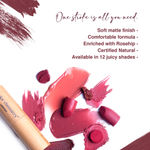 Buy Juicy Chemistry Lipstick, Soft Matte Finish, Intensely pigmented & long-lasting, Enriched with Rosehip & Green Tea - Certified Organic (3.5 gm) Feather Reed LS07 - Purplle