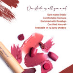 Buy Juicy Chemistry Lipstick, Soft Matte Finish, Intensely pigmented & long-lasting, Enriched with Rosehip & Green Tea - Certified Organic (3.5 gm) Daylily LS10 - Purplle
