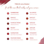 Buy Juicy Chemistry Lipstick, Soft Matte Finish, Intensely pigmented & long-lasting, Enriched with Rosehip & Green Tea - Certified Organic (3.5 gm) Daylily LS10 - Purplle