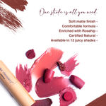Buy Color Chemistry Lipstick, Soft Matte Finish, Intensely pigmented & long-lasting, Enriched with Rosehip & Green Tea - Certified Organic (3.5 gm) Charlie Rose LS04 - Purplle