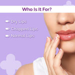 Buy The Derma Co. 1% Ceramide Complex Lip Balm with Ceramides & Vitamin E, SPF 30 PA++ for Dry & Chapped Lips - 4g - Purplle