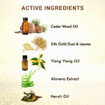 Buy Keya Seth Aromatherapy, Envie Gold Facial Kit 23 gm - Purplle