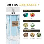 Buy RiiFFS Dominant Pour Homme EDP for Men 100 ml - Purplle
