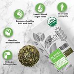 Buy Sorich Organics Moringa Green Tea - Antioxidants & Protein Rich Detox Tea for Weight Management - 100 Gm - Purplle