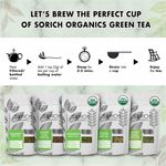 Buy Sorich Organics Moringa Green Tea - Antioxidants & Protein Rich Detox Tea for Weight Management - 100 Gm - Purplle